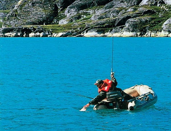 Ловля лосося или семги на спиннинг