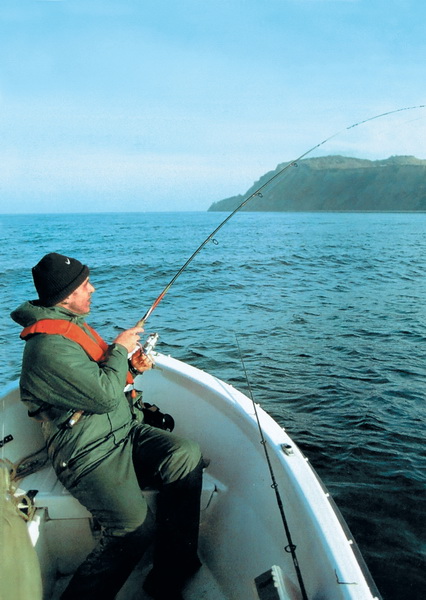 Спиннинг для морской рыбалки на треску - Особенности выбора
